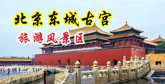 大鸡巴操小穴在线观看中国北京-东城古宫旅游风景区
